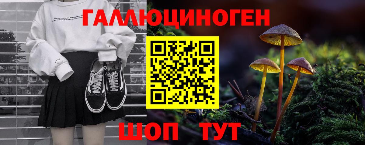 сколько стоит  Псилоцибиновые грибы Magic Shrooms  Вход с VPN  Чапаевск  Галлюциногенные грибы Magic Shrooms 